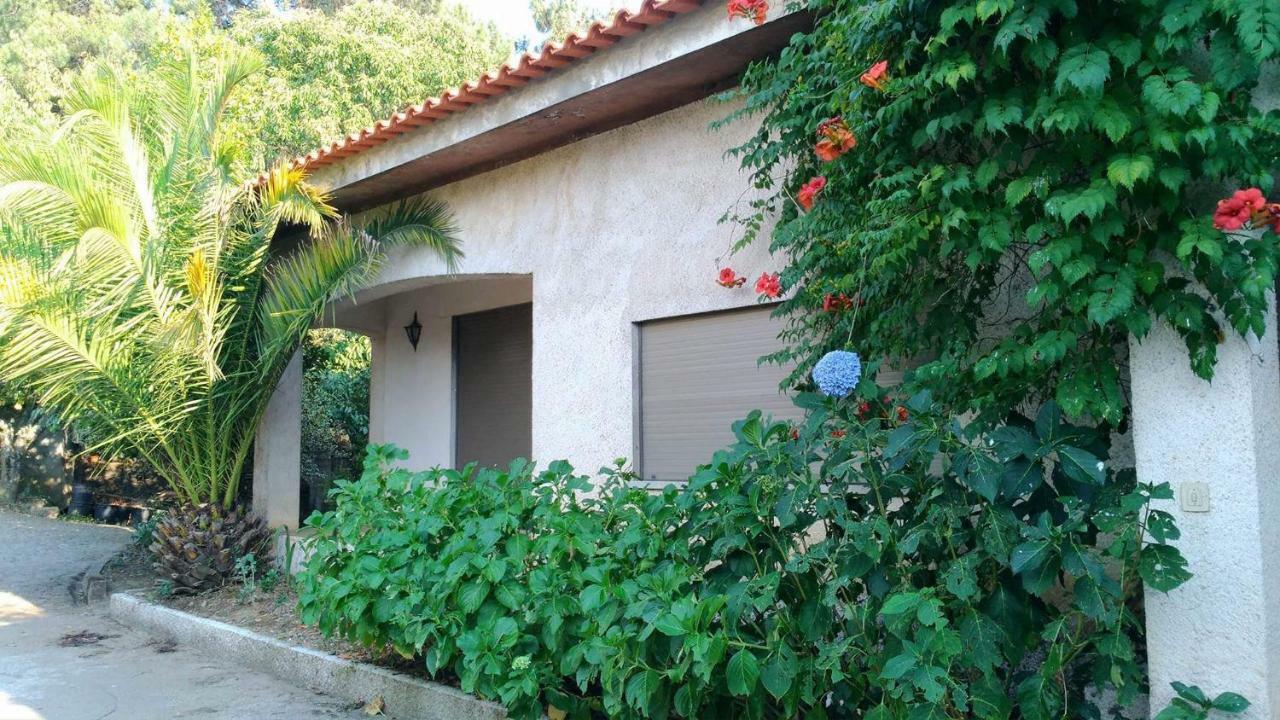 萨布罗萨Casa Deus别墅 外观 照片